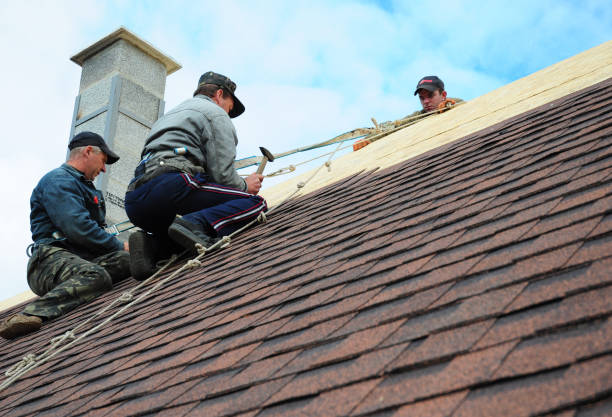 Best Gutter Installation and Roofing  in Mulberry, OH