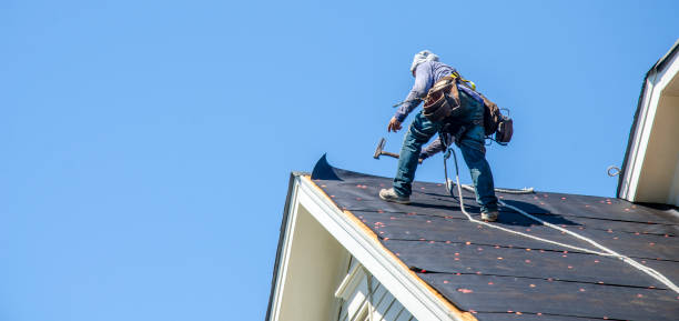 Best Storm Damage Roof Repair  in Mulberry, OH